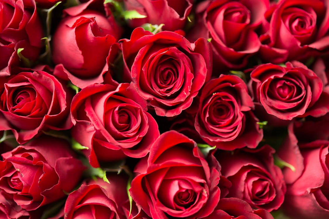 Valentine's Day On A Budget