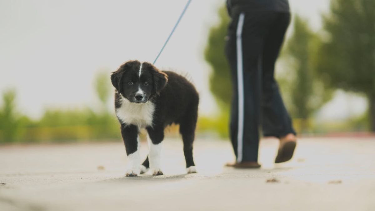 Get Out And Get Moving