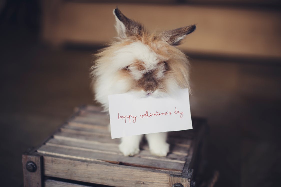 But What About Valentine's Day?
