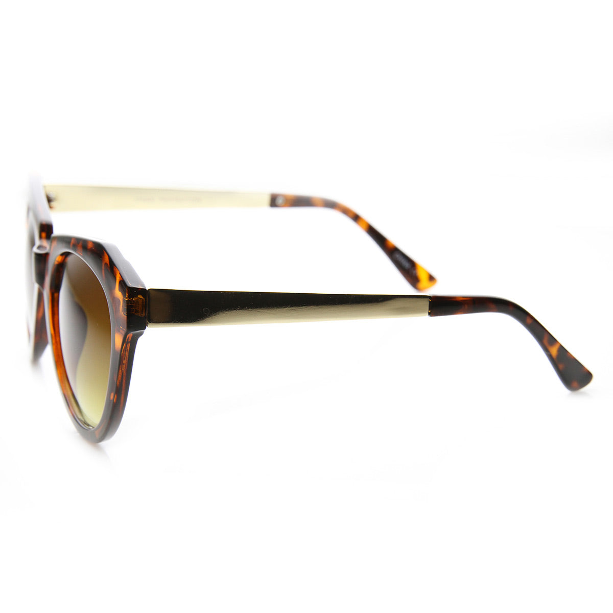 Shiny-Tortoise-Gold Amber