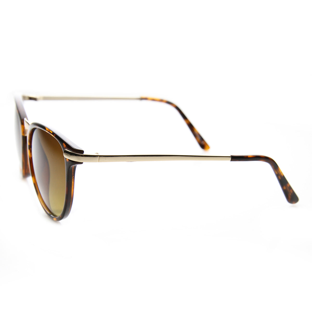 Shiny-Tortoise-Gold Amber