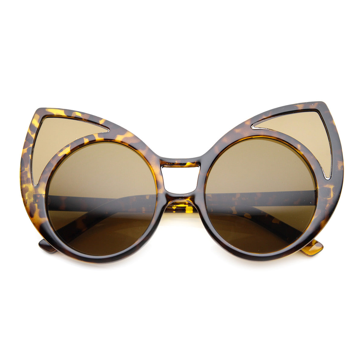 Tortoise / Brown