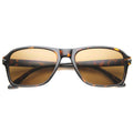 Shiny Tortoise / Brown