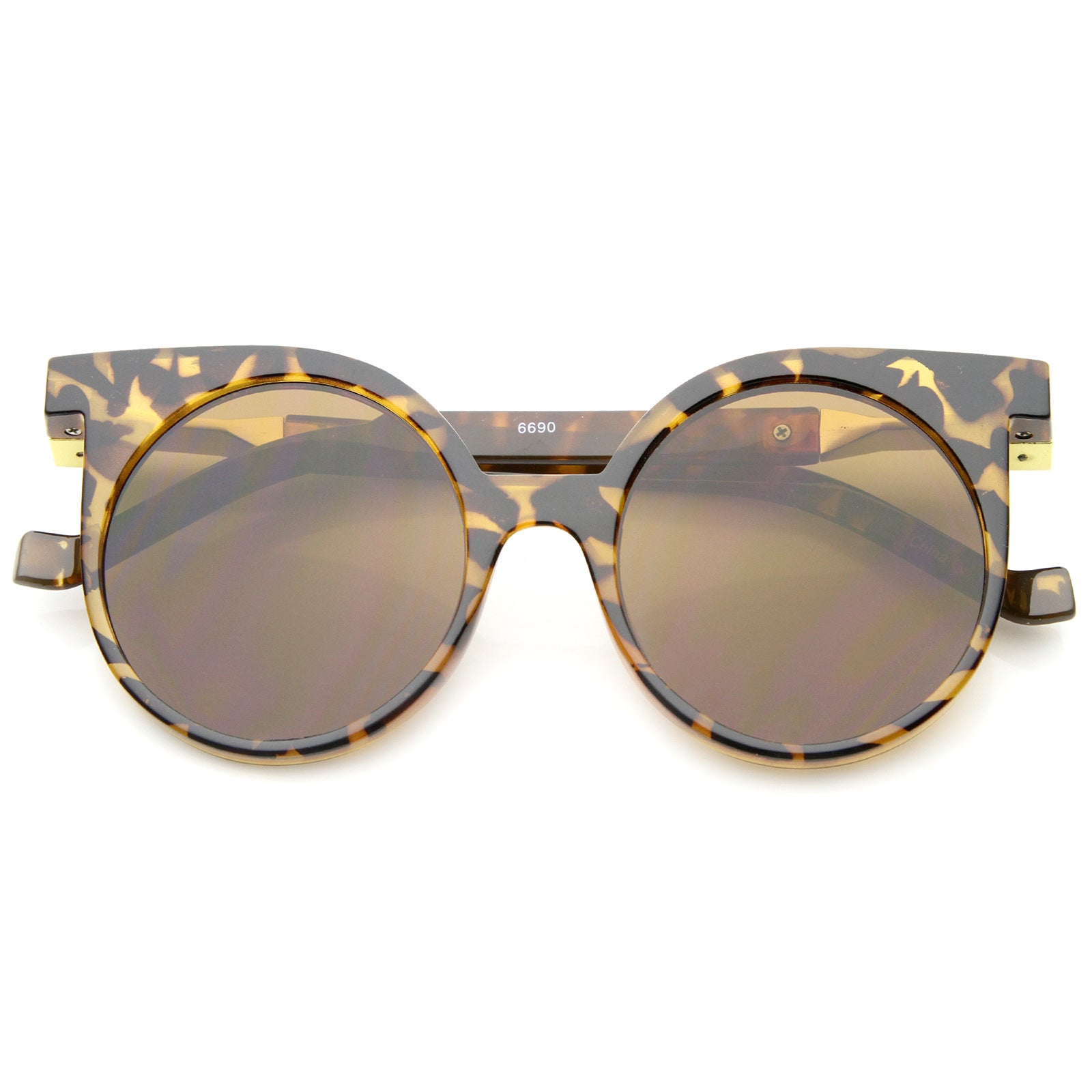 Tortoise / Brown
