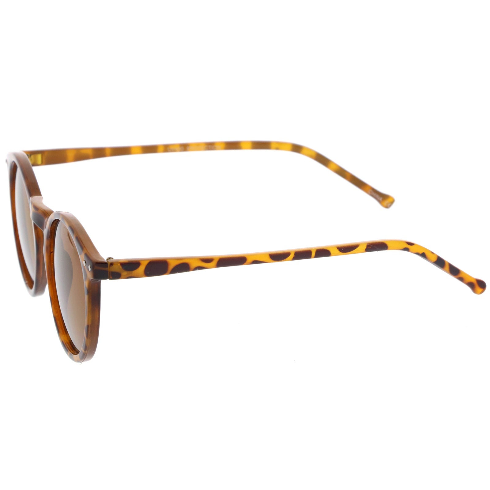 Shiny Brown-Tortoise / Brown