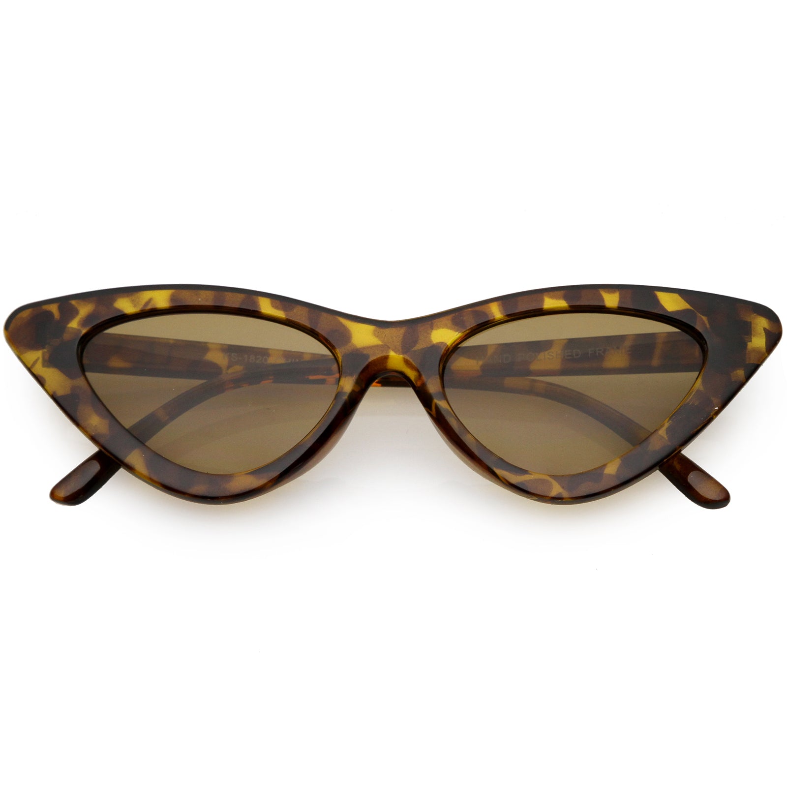 Tortoise / Brown