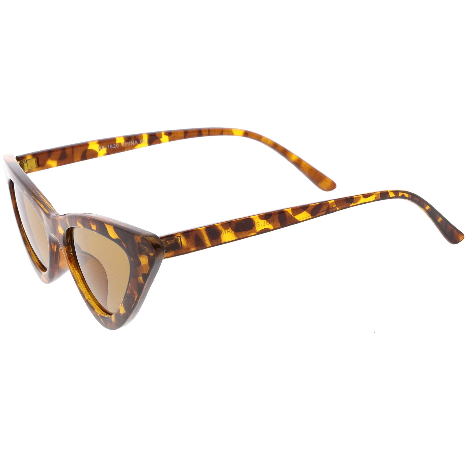 Tortoise / Brown