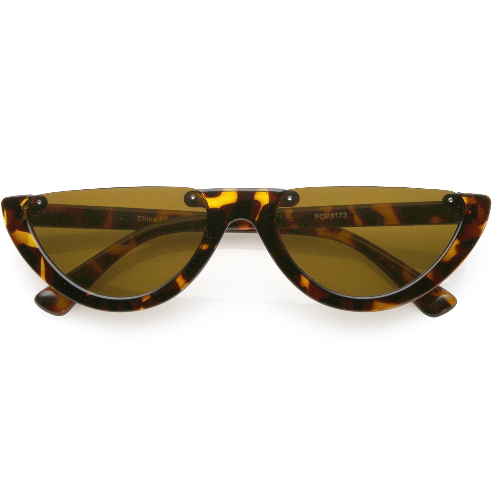 Tortoise / Brown