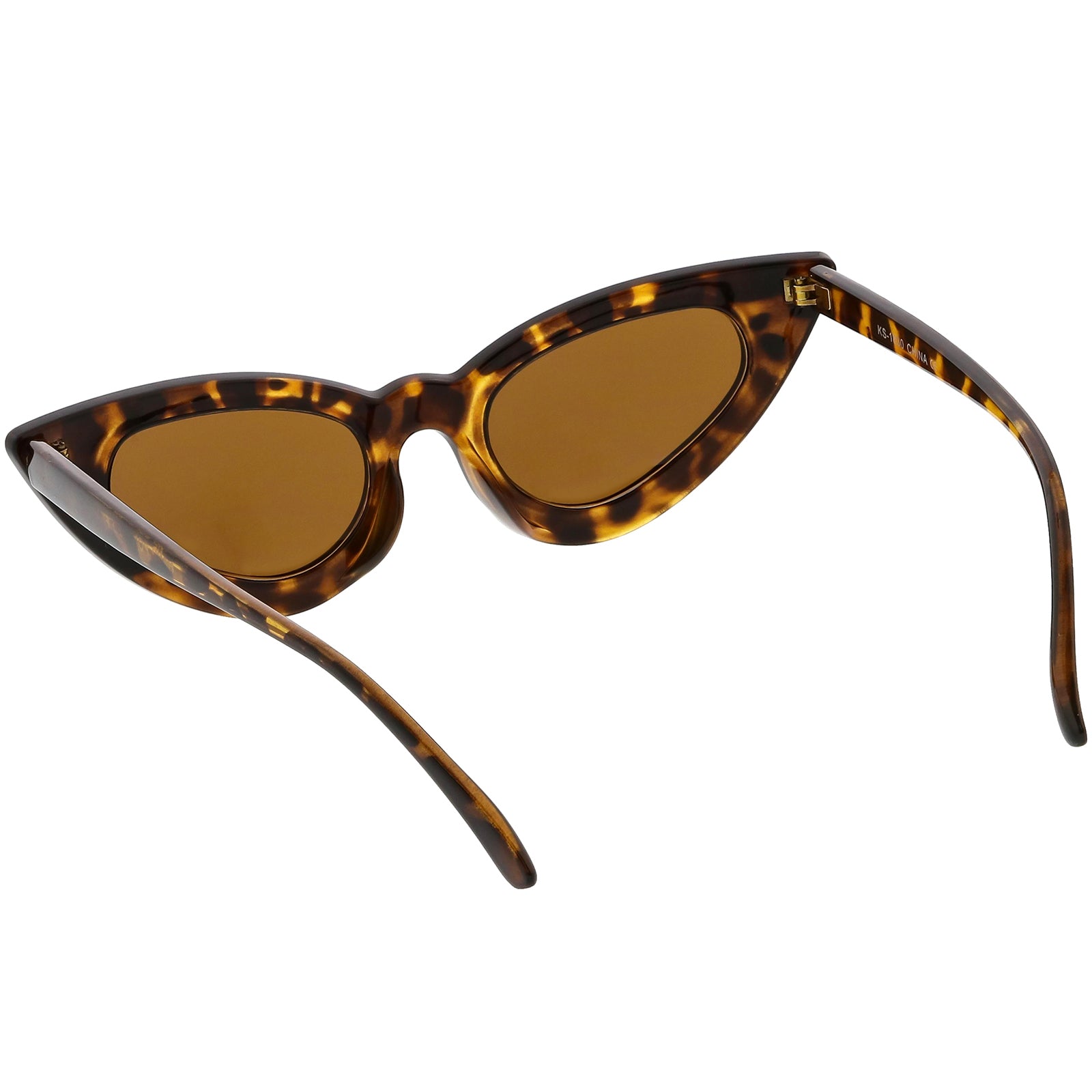 Tortoise / Brown