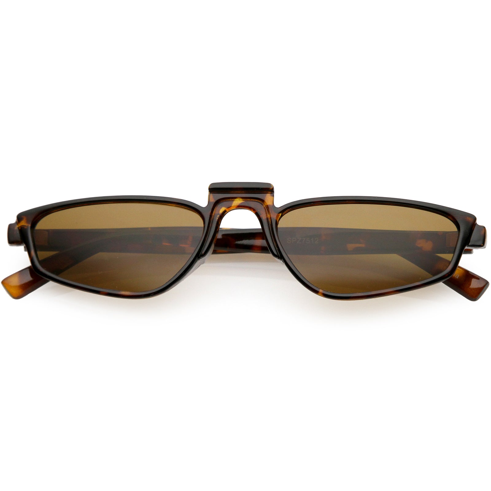 Tortoise / Brown
