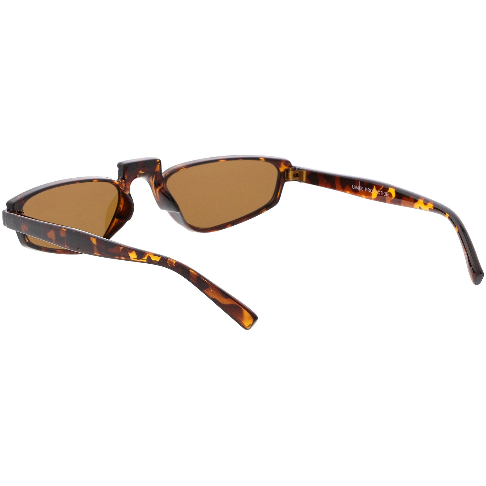 Tortoise / Brown