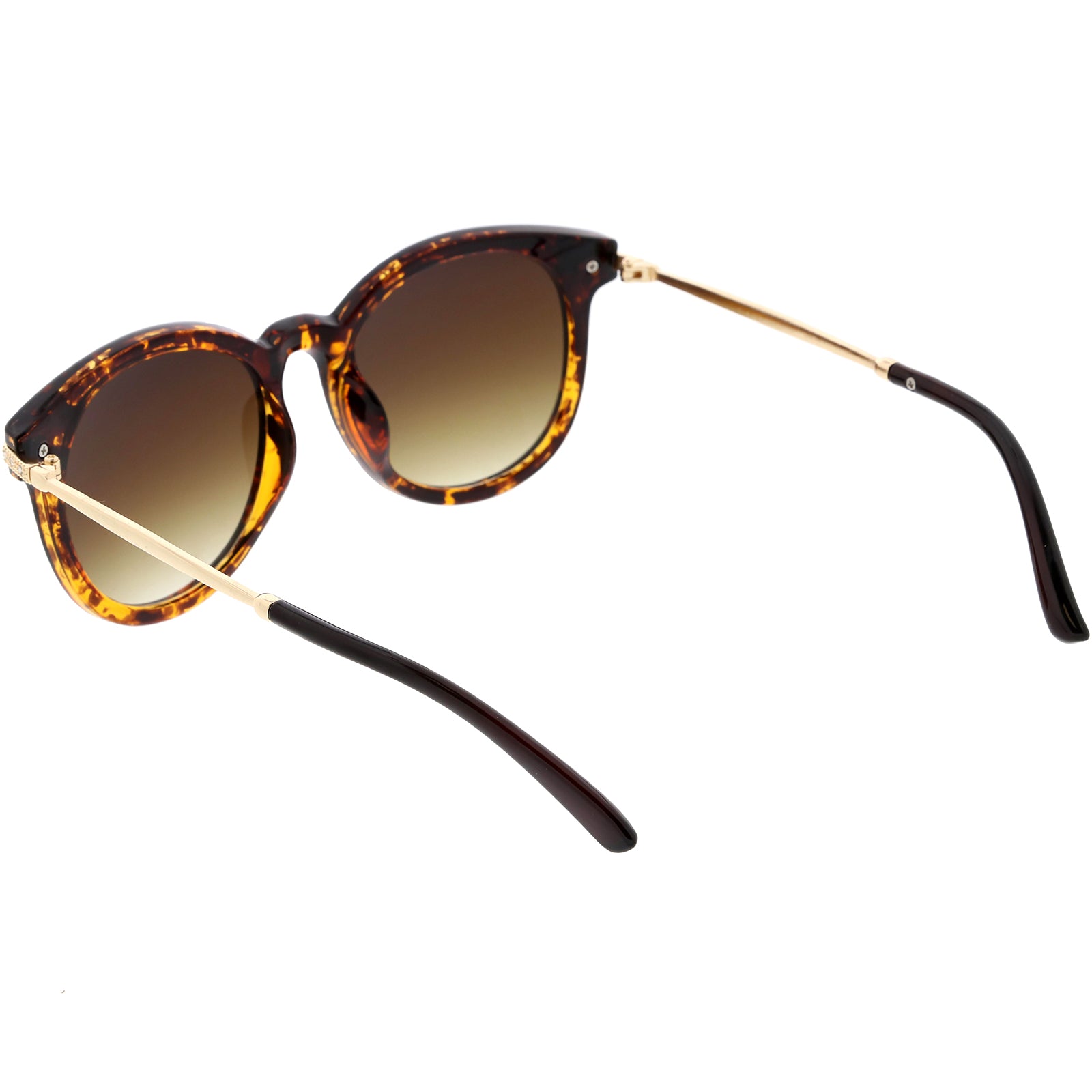 Tortoise / Amber