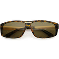 Tortoise / Brown
