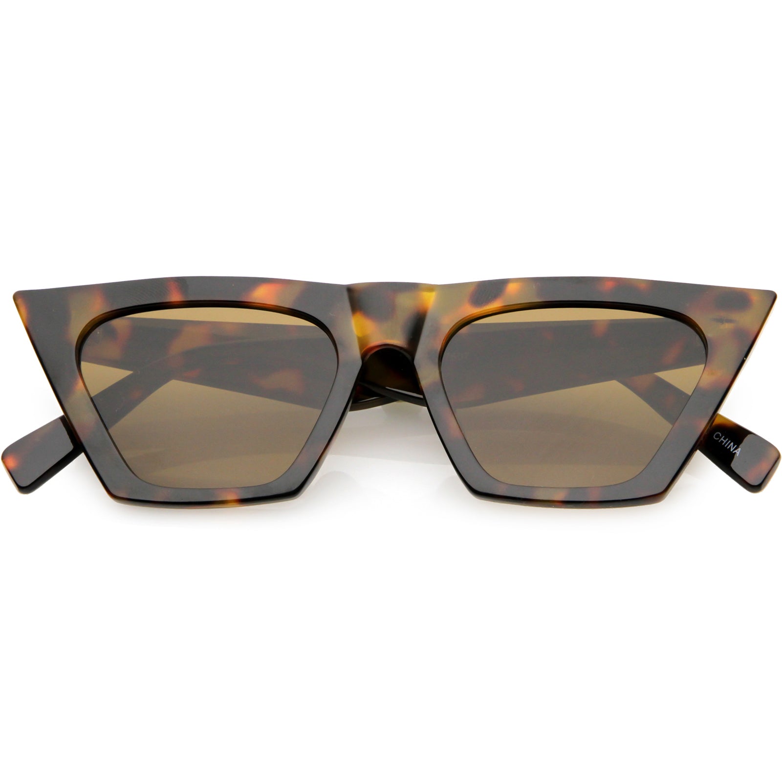 Tortoise / Brown