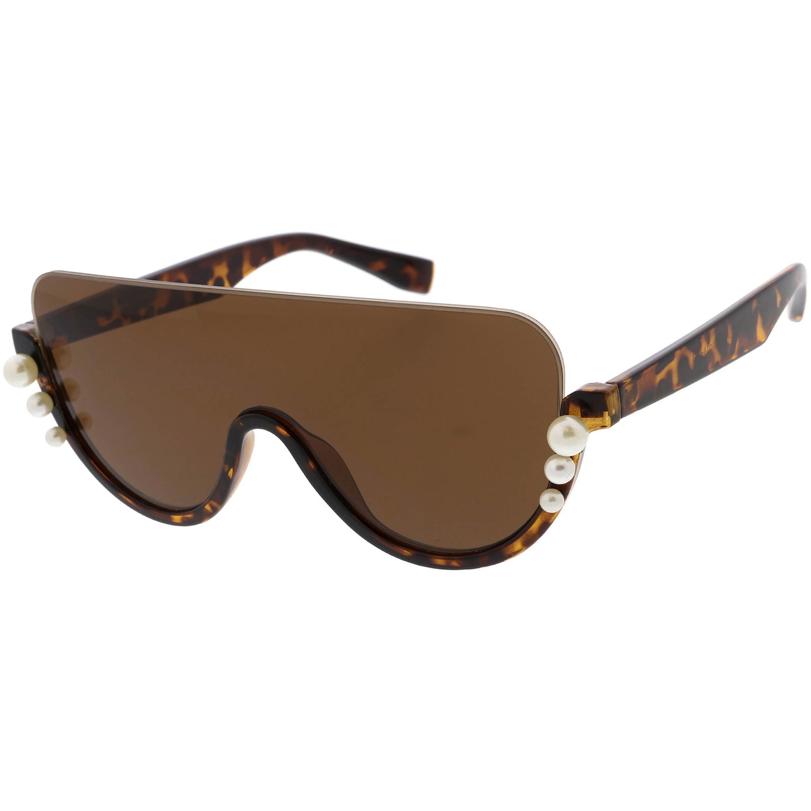 Tortoise / Brown