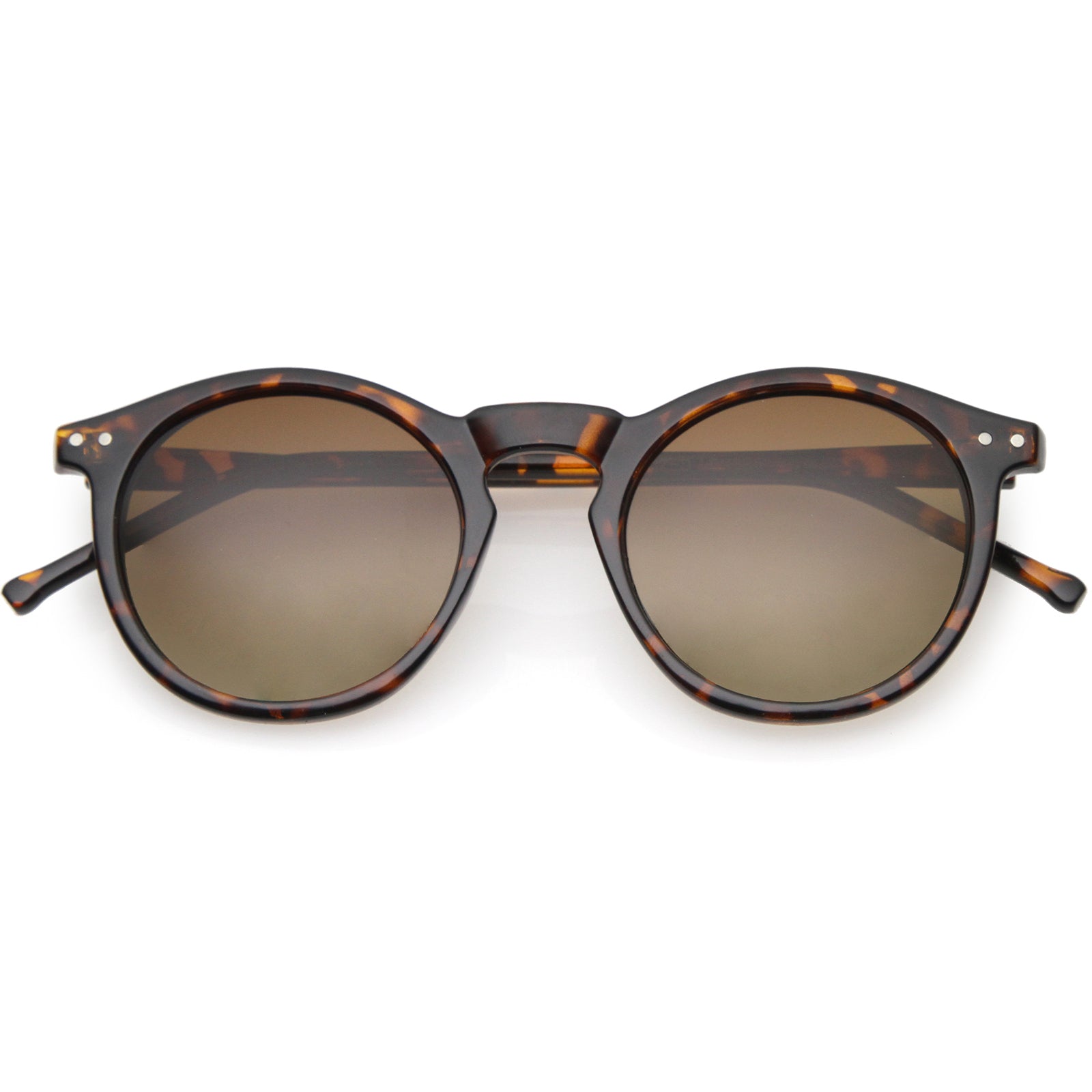 Tortoise / Brown